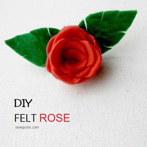 DIY玫瑰与感觉