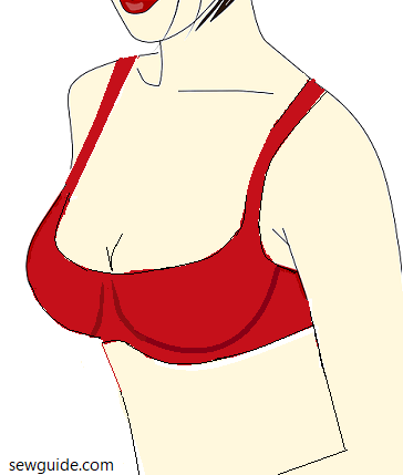Demi胸罩