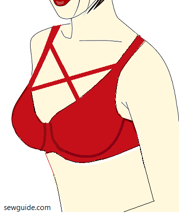 笼胸罩